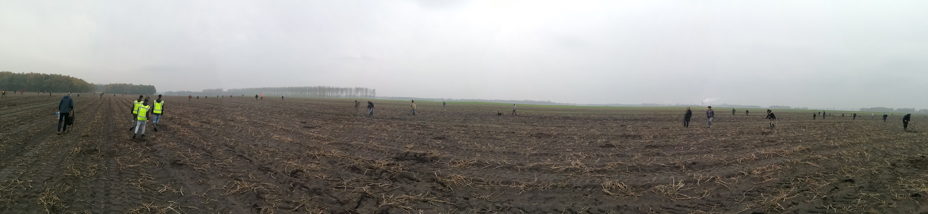 Groep zoekers tijdens een gezamenlijke metaaldetectie-rally op het veld